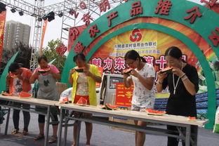 菏泽吃瓜比赛,瓜界竞技盛宴，全民瓜王争霸记