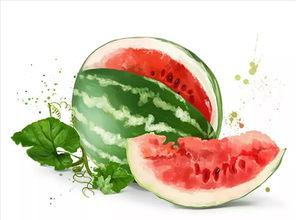 蜜子吃瓜,揭秘甜蜜背后的瓜界风云