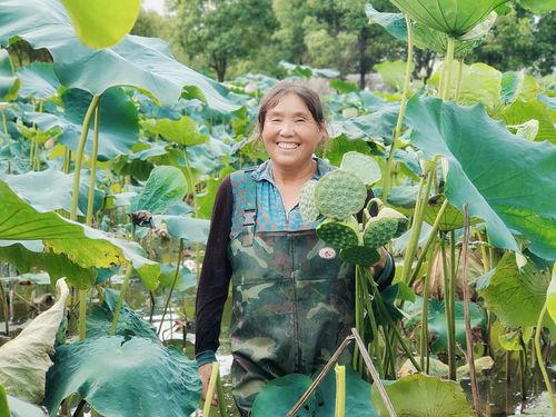 吃瓜镇平视频,揭秘小镇的欢乐与争议