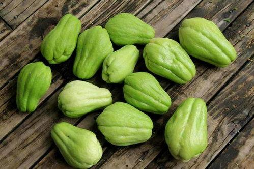 食品佛手瓜吃的佛手瓜,探寻佛手瓜的独特风味