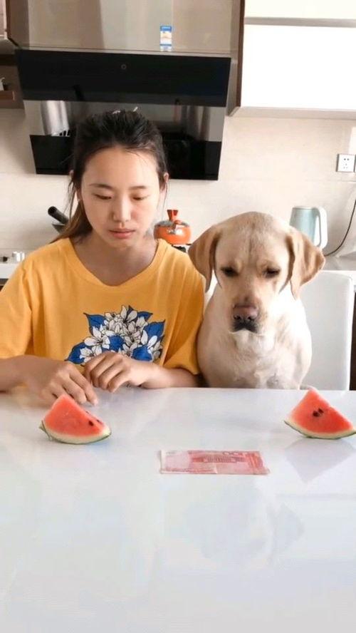 儿童吃西瓜吃瓜视频,西瓜视频里的甜蜜童年