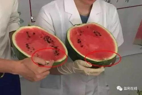 吃瓜打针视频,一场网络迷思的真相追踪