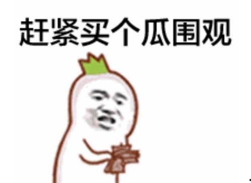 吃瓜表情怎么解释