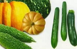 王远吃瓜,揭秘娱乐圈背后的那些事儿