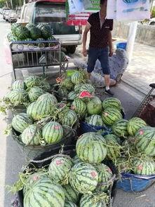 合肥情侣吃瓜事件视频,甜蜜瞬间引发网友热议