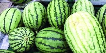 快速吃瓜的视频,揭秘热门视频背后的故事