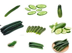 新鲜吃瓜素材,揭秘近期热门新鲜吃瓜事件