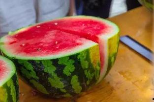 高校厕所吃瓜,一场意外的“吃瓜”盛宴