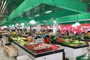 吃瓜小二店,瓜界新宠，品味生活新风尚