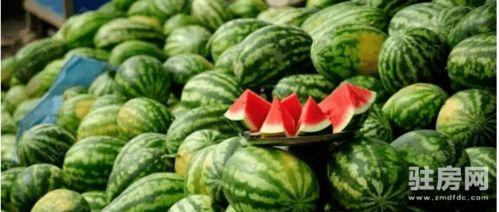 cgcg吃瓜网免费,cgcg吃瓜网带你免费畅游八卦世界