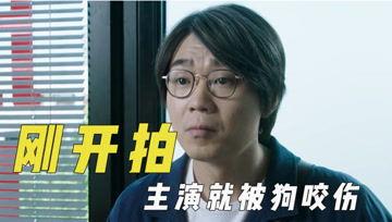 吃瓜君14号,一场关于瓜子的奇妙之旅