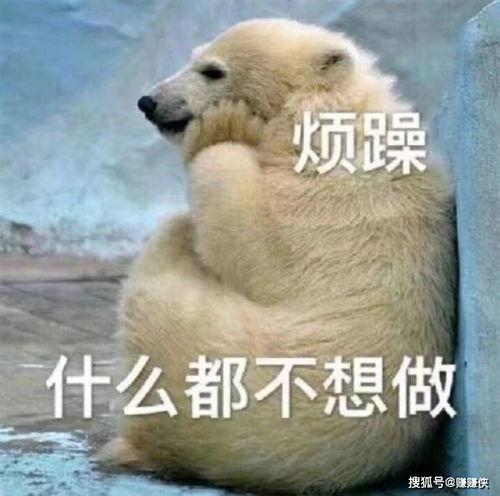 吃瓜群众解压图,趣味横生的减压神器