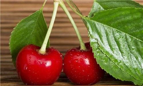 樱桃吃瓜少女,探寻少女生活中的独特喜好