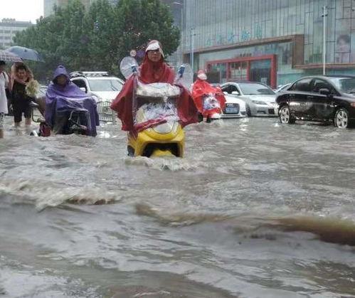 新闻河南吃瓜事件,一场网络舆论的风波与反思