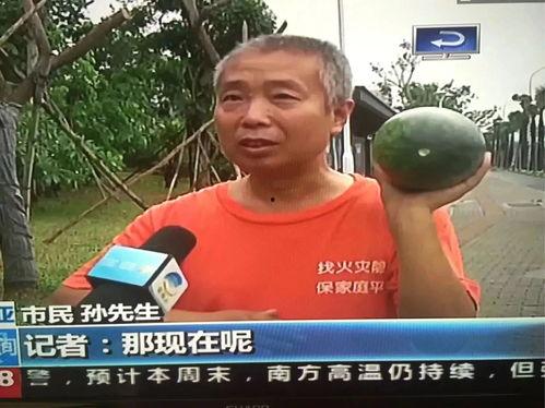 民警吃瓜群众事件,网络舆论下的警民关系反思 第3张 民警吃瓜群众事件,网络舆论下的警民关系反思 第3张