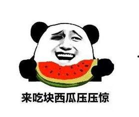 带你吃瓜奇葩吗,带你领略“带你吃瓜”的奇特魅力 第3张 带你吃瓜奇葩吗,带你领略“带你吃瓜”的奇特魅力 第3张