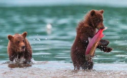 吃瓜小熊露脸视频 第2张 吃瓜小熊露脸视频 第2张