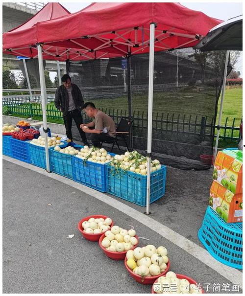 温州吃瓜 第2张 温州吃瓜 第2张