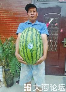 黑51吃瓜,揭秘娱乐圈背后的惊人真相 第2张 黑51吃瓜,揭秘娱乐圈背后的惊人真相 第2张