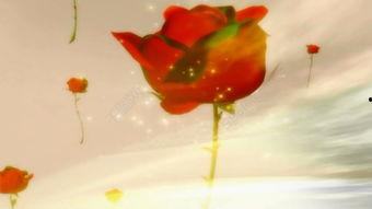 吃玫瑰瓜的视频素材 第3张 吃玫瑰瓜的视频素材 第3张