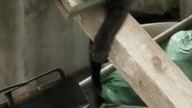 打架吃瓜视角是什么,吃瓜群众视角下的冲突瞬间  第3张