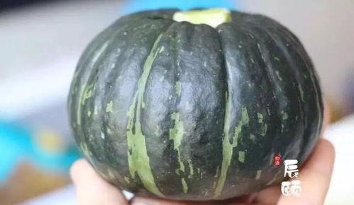 云南板栗瓜怎么吃,云南板栗瓜的多彩食法探索 第3张 云南板栗瓜怎么吃,云南板栗瓜的多彩食法探索 第3张