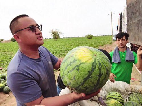 田埂吃瓜照片真实  第3张