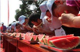 中餐厅吃瓜比赛,舌尖上的趣味竞技