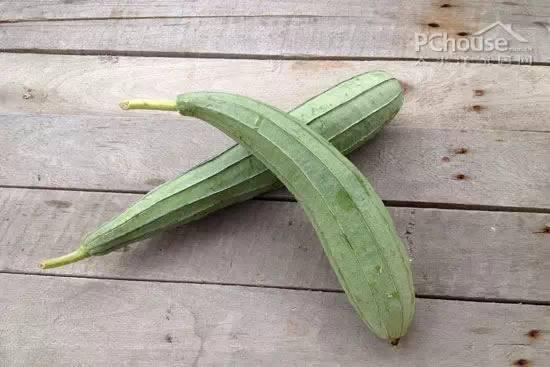 潮汕有什么瓜可以吃,品味地道的田园美味