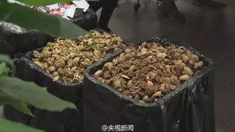 安徽卖房吃瓜,一场吃瓜群众的房产风云录  第2张